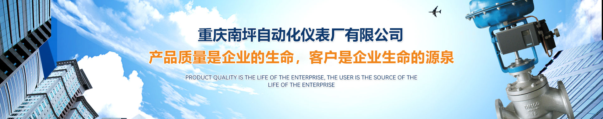 重庆南坪自动化仪表厂有限公司